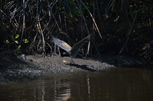 vignette Nicaragua_2016_0724.jpg 