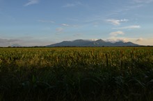 vignette Nicaragua_2016_0889.jpg 