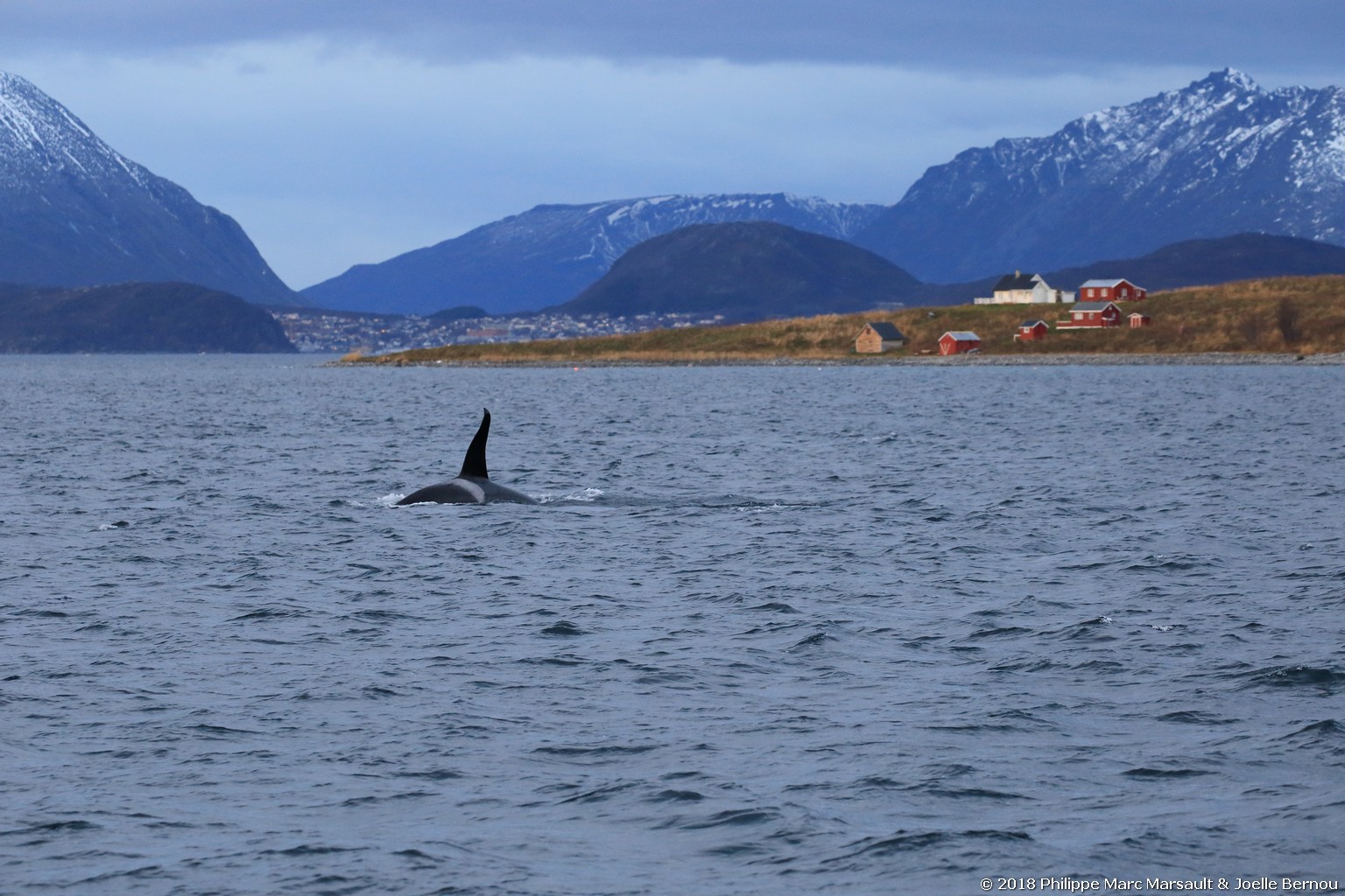 /ecran/Norvege_2018_0492.jpg