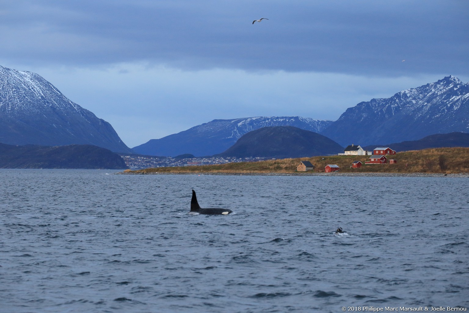 /ecran/Norvege_2018_0493.jpg