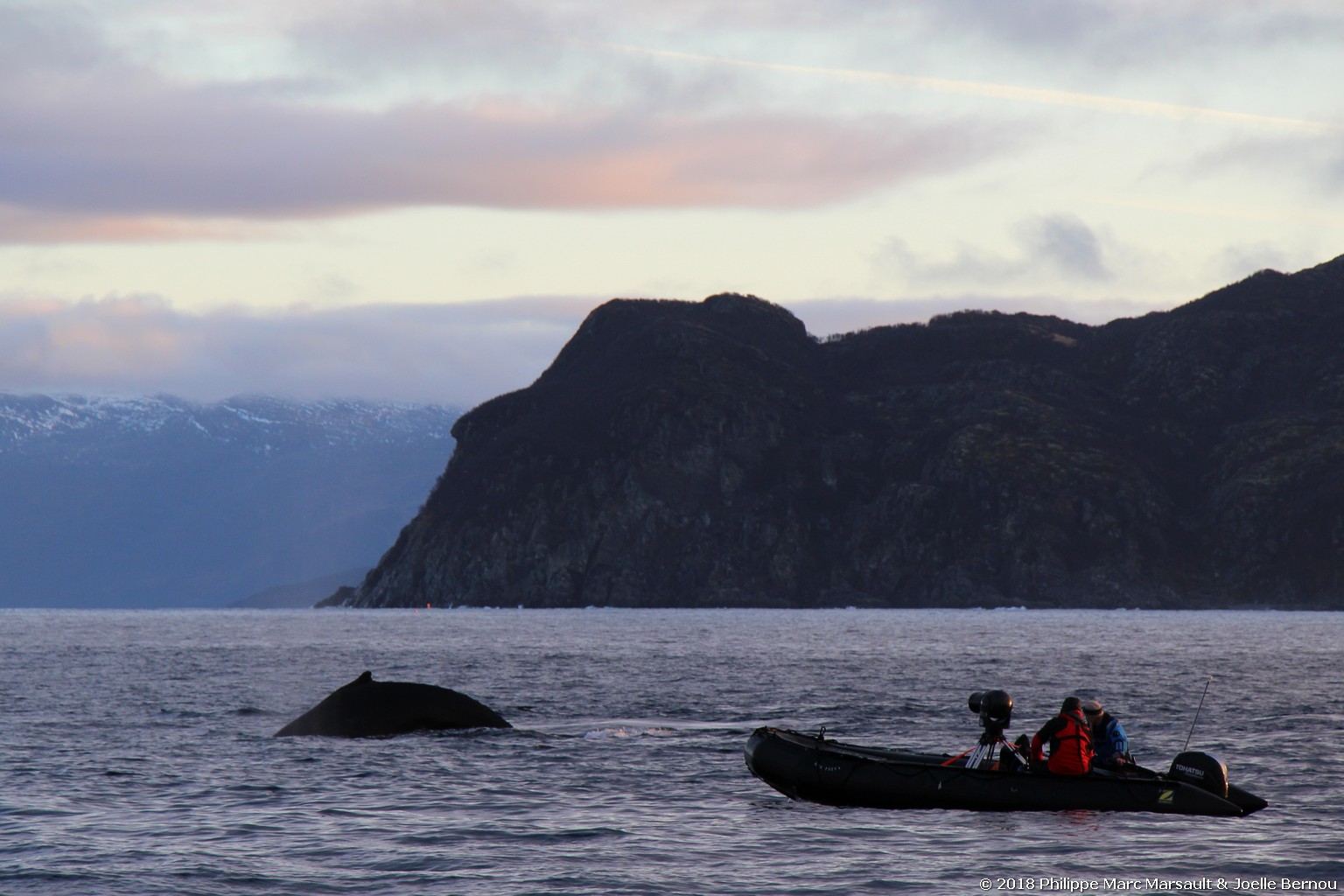 /ecran/Norvege_2018_0985.jpg