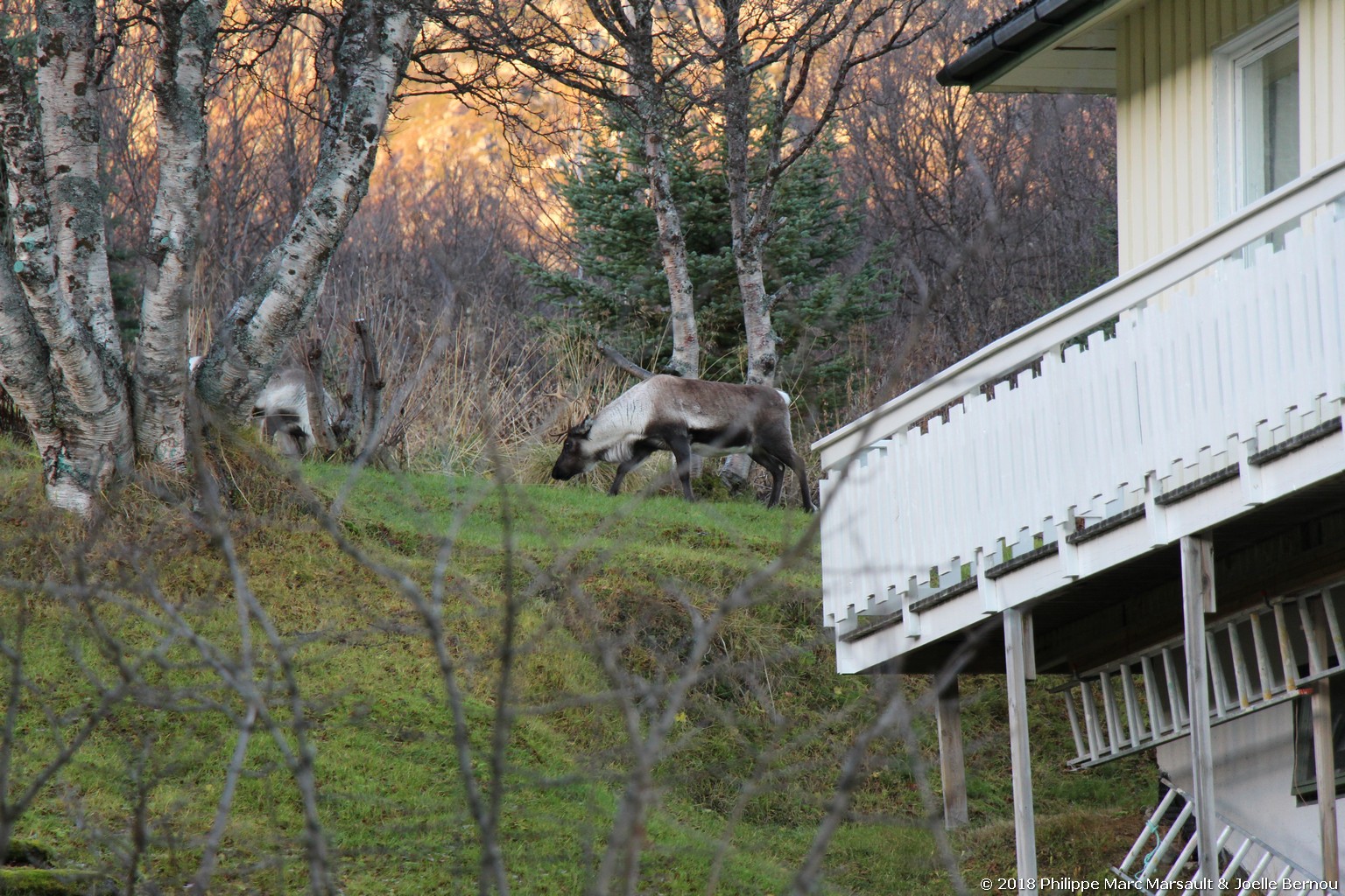 /ecran/Norvege_2018_1270.jpg