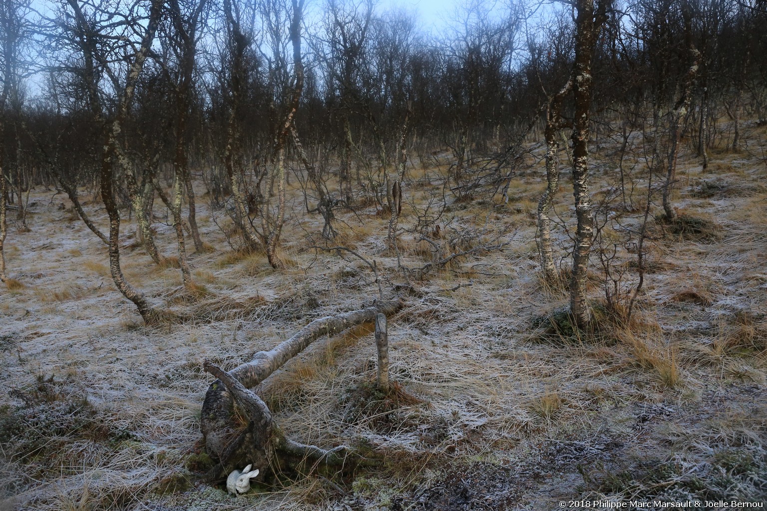 /ecran/Norvege_2018_1355.jpg