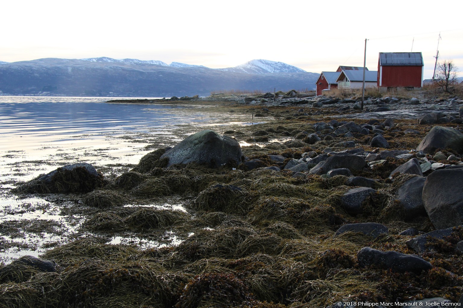 /ecran/Norvege_2018_1364.jpg