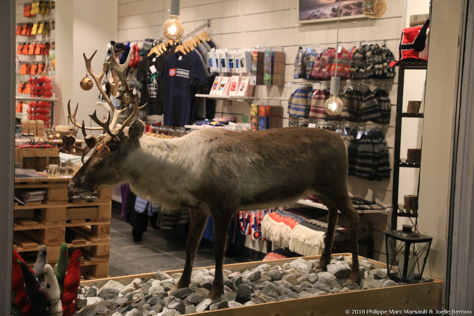 /ecran/Norvege_2018_1443.jpg