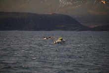 vignette Norvege_2018_0364.jpg 