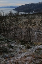 vignette Norvege_2018_1339.jpg 