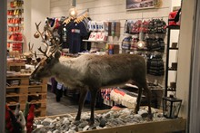 vignette Norvege_2018_1443.jpg 