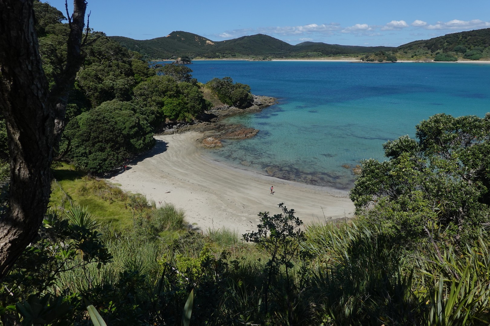 /ecran/2024_New-Zealand_1968.jpg