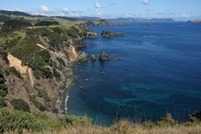 vignette 2024_New-Zealand_1914.jpg 