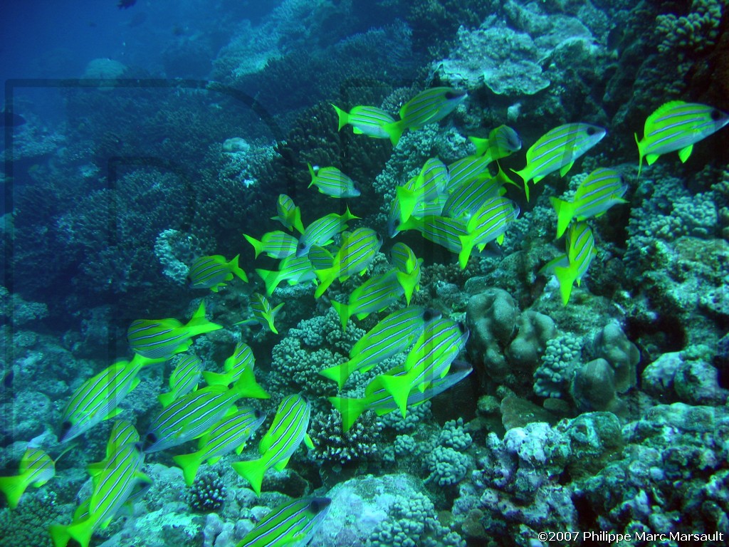 /ecran/Nouvelle-Caledonie_098.jpg