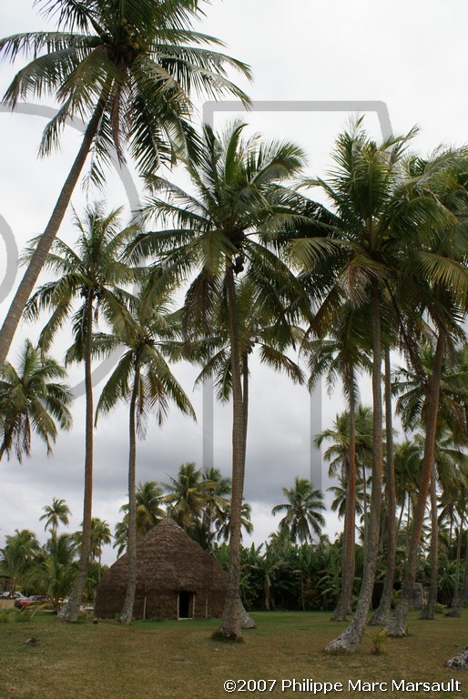 /ecran/Nouvelle-Caledonie_575.jpg