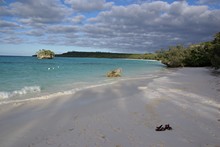 vignette Nouvelle-Caledonie_481.jpg 