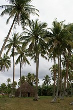 vignette Nouvelle-Caledonie_575.jpg 