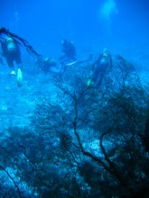 vignette Nouvelle-Caledonie_611.jpg 