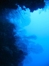 vignette Nouvelle-Caledonie_613.jpg 