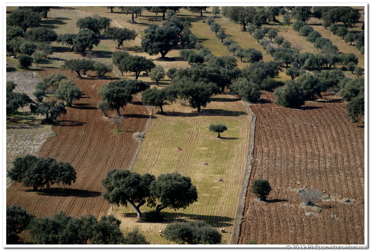 /ecran/Portugal_2012_0165.jpg