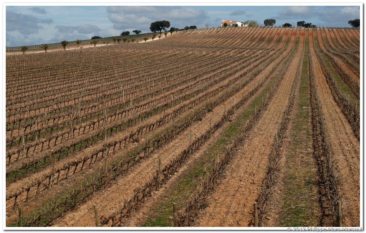 /ecran/Portugal_2012_0202.jpg