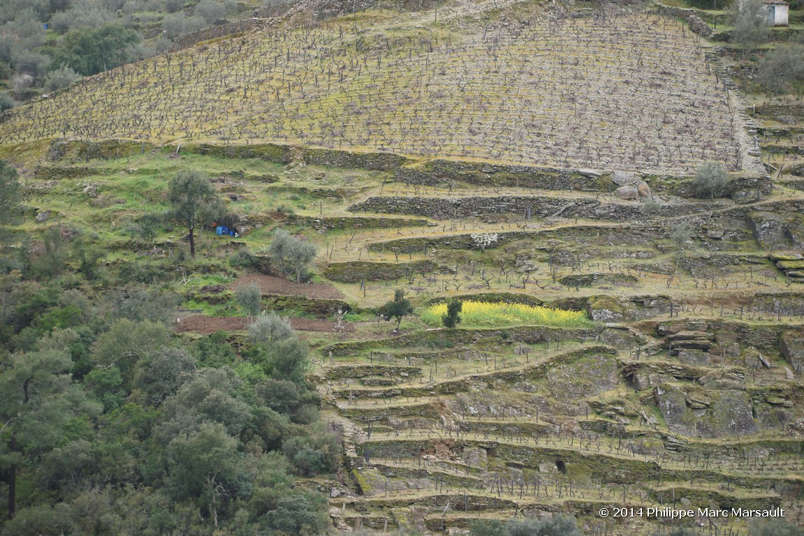 /ecran/Portugal_2014_0242.jpg