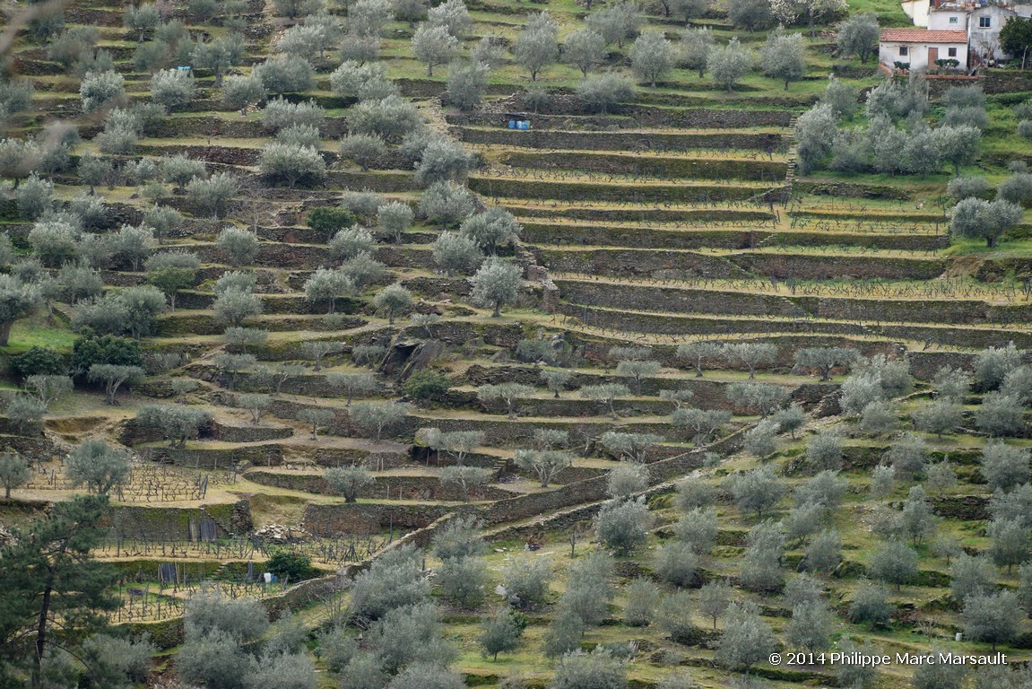 /ecran/Portugal_2014_0246.jpg