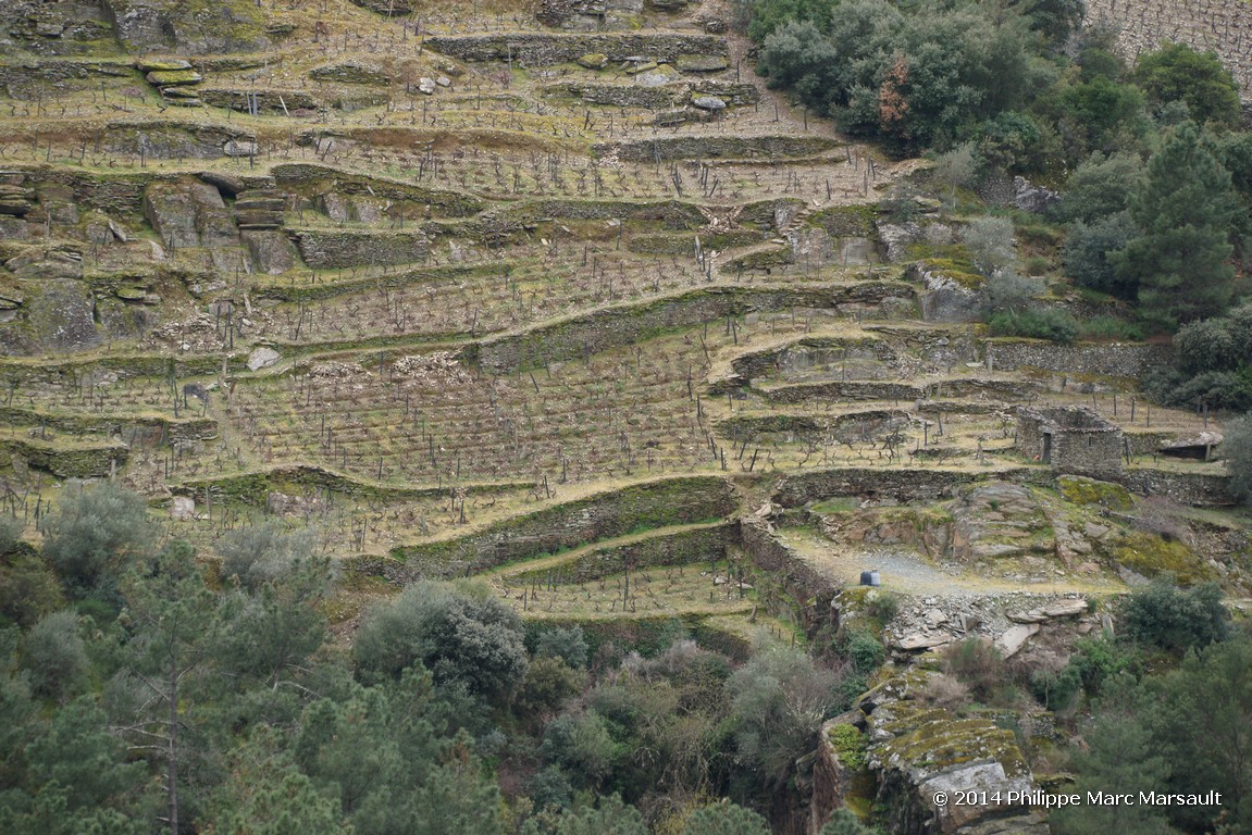 /ecran/Portugal_2014_0252.jpg