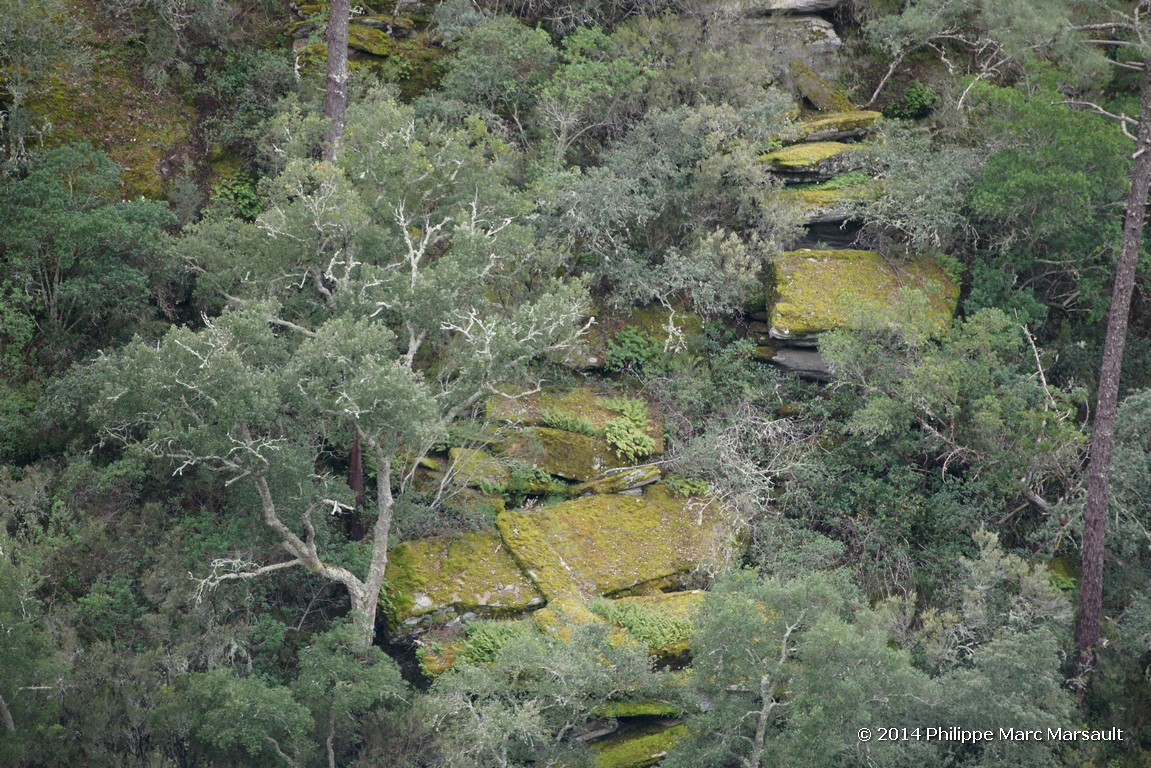 /ecran/Portugal_2014_0253.jpg