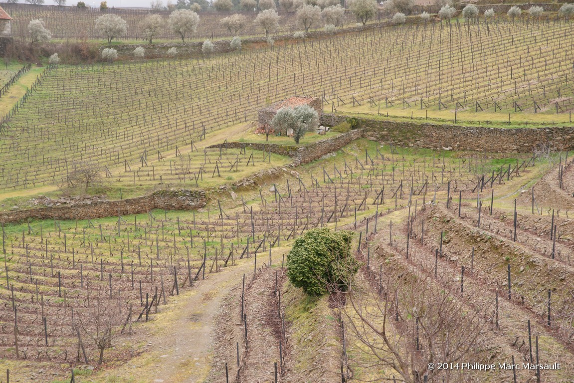 /ecran/Portugal_2014_0267.jpg