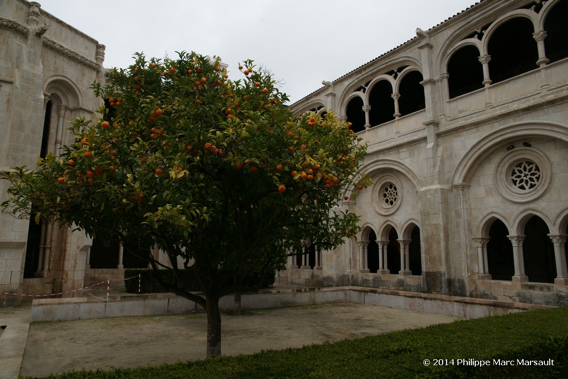 /ecran/Portugal_2014_0486.jpg