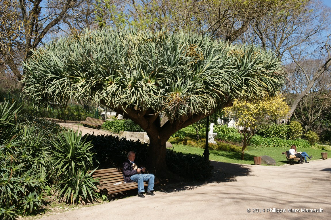 /ecran/Portugal_2014_0609.jpg