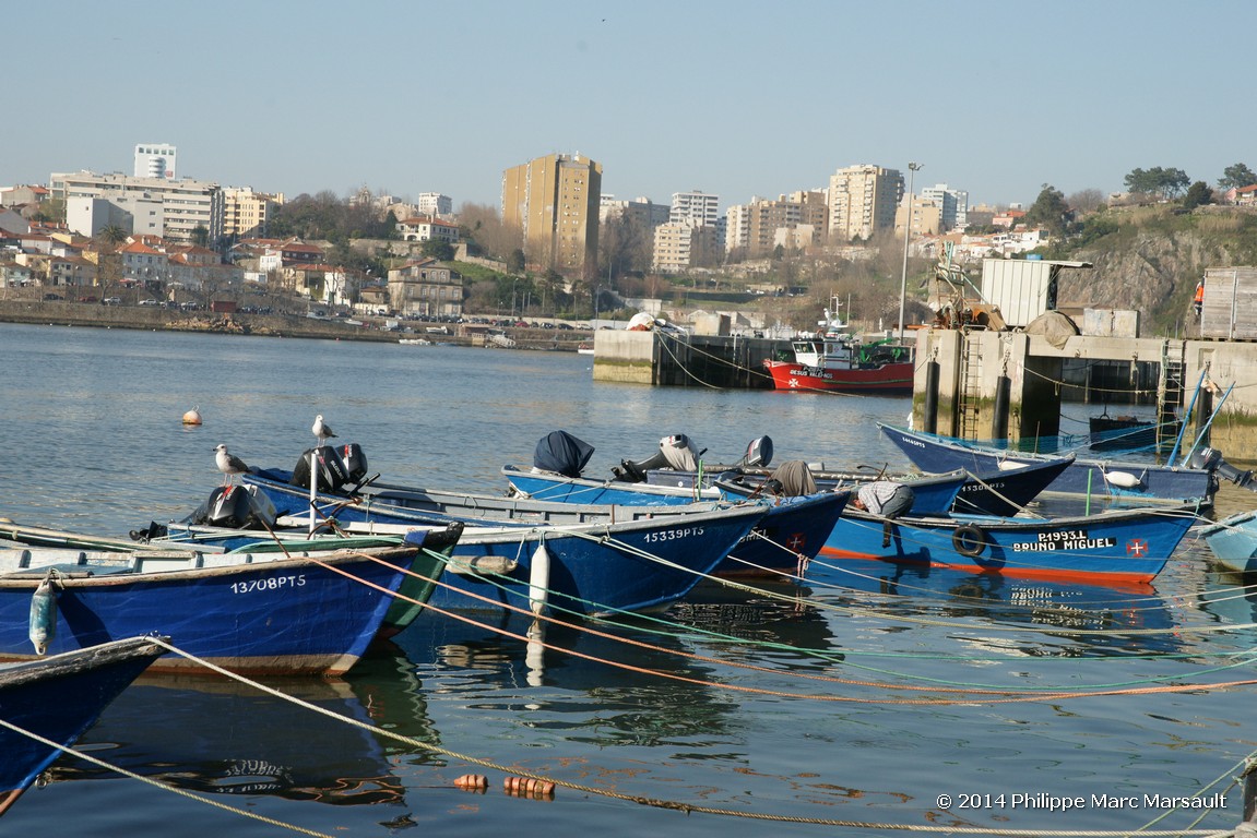 /ecran/Portugal_2014_0744.jpg