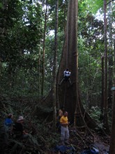 vignette Indonesie_2014_0179.jpg 