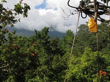 vignette Indonesie_2014_0194.jpg 