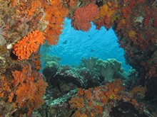 vignette Indonesie_2014_0503.jpg 