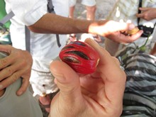 vignette Indonesie_2014_0554.jpg 