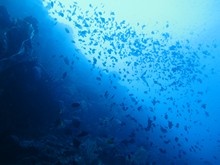 vignette Indonesie_2014_0620.jpg 