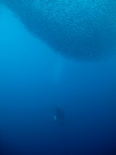 vignette Indonesie_2014_1191.jpg 