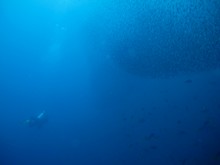 vignette Indonesie_2014_1197.jpg 