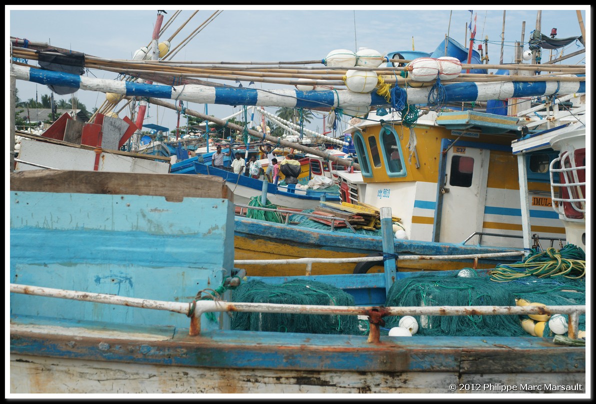/ecran/Sri_Lanka_0099.jpg