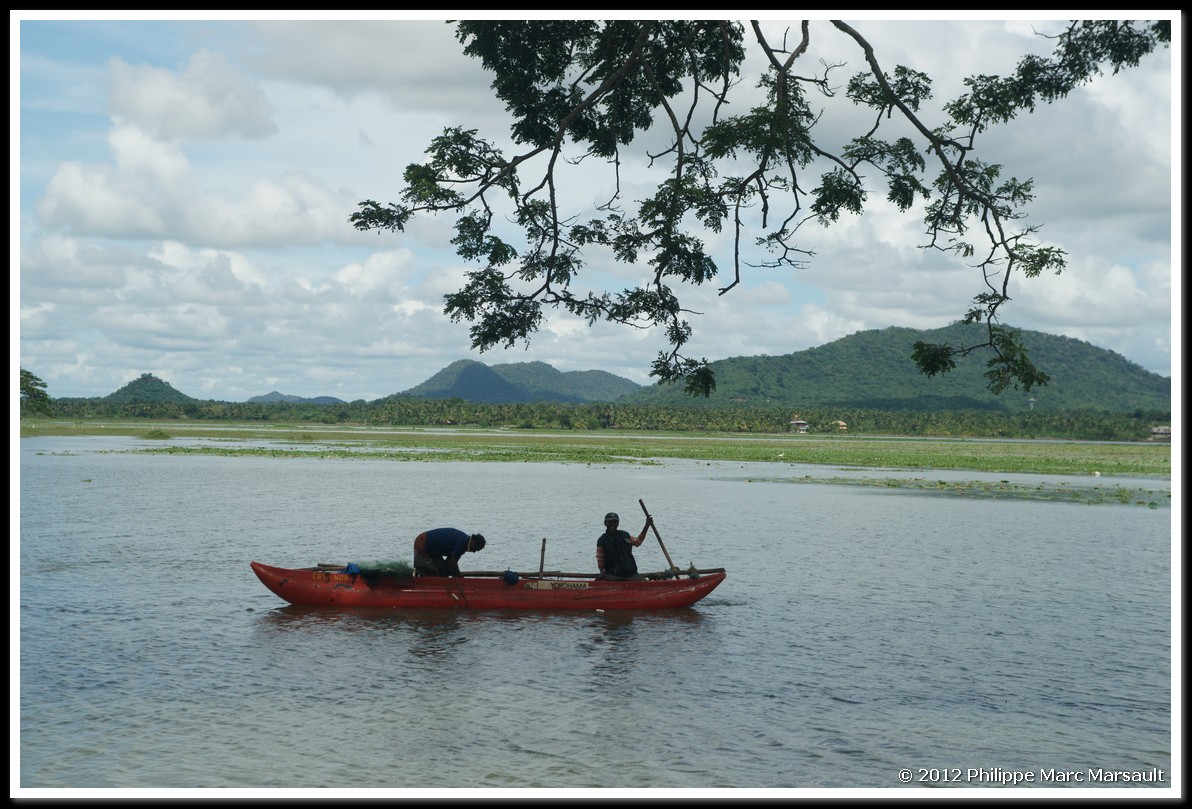 /ecran/Sri_Lanka_0173.jpg