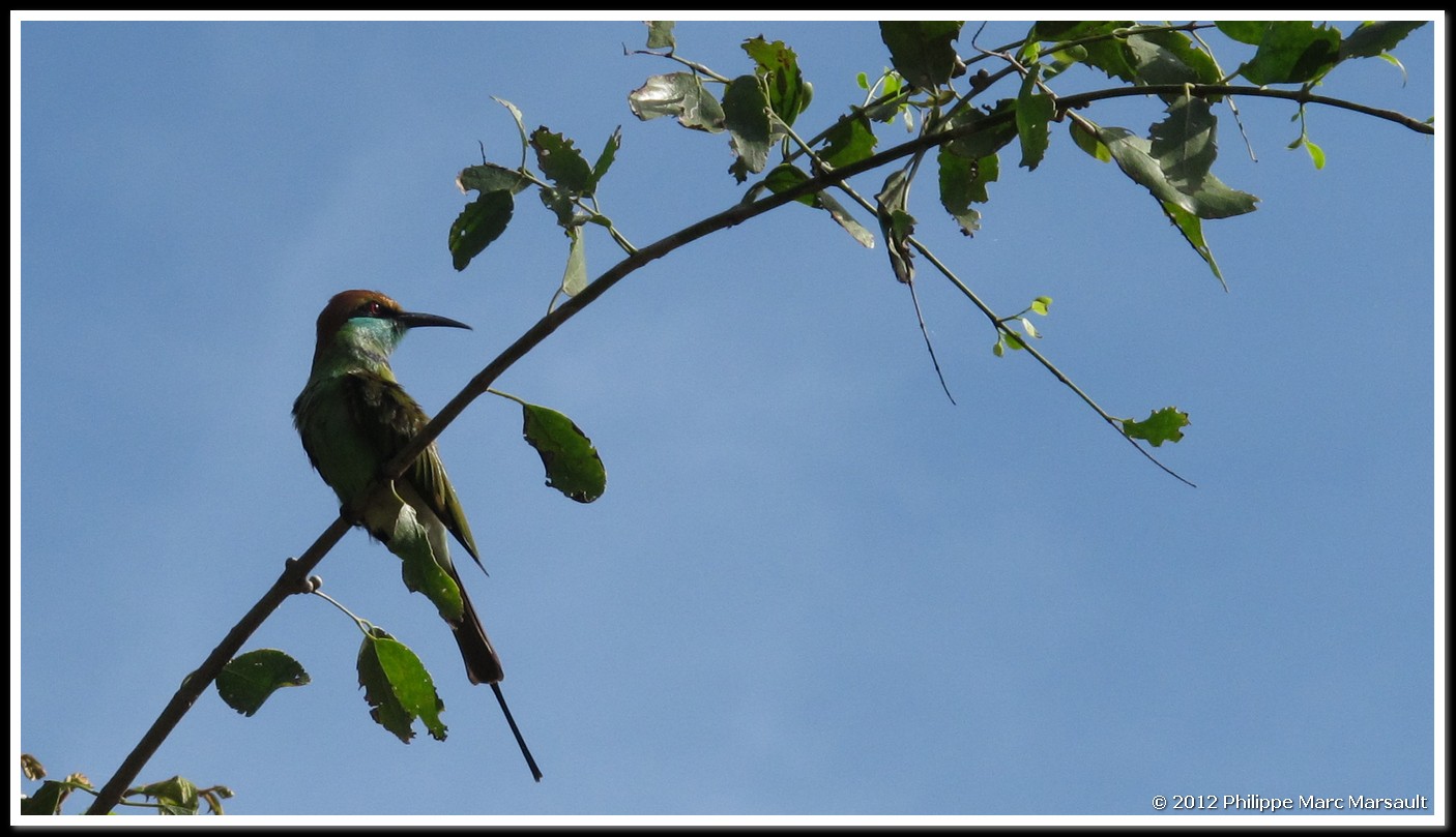 /ecran/Sri_Lanka_0192.jpg