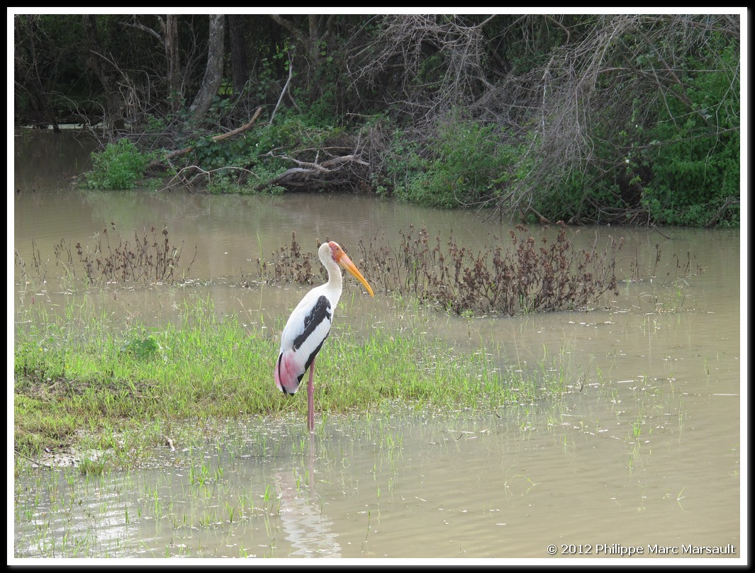 /ecran/Sri_Lanka_0214.jpg