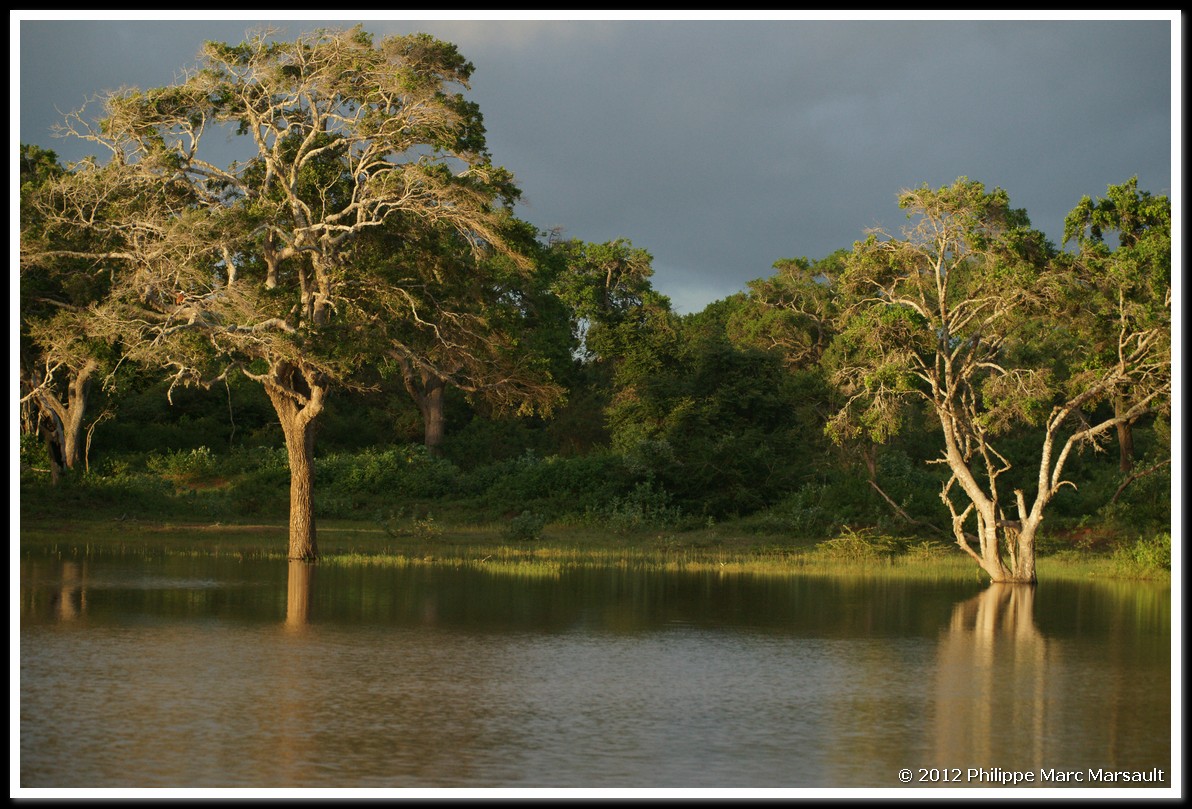 /ecran/Sri_Lanka_0251.jpg