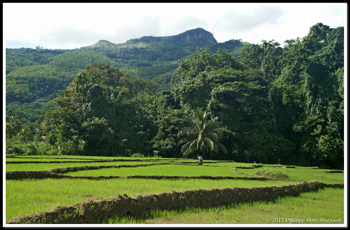 /ecran/Sri_Lanka_0280.jpg