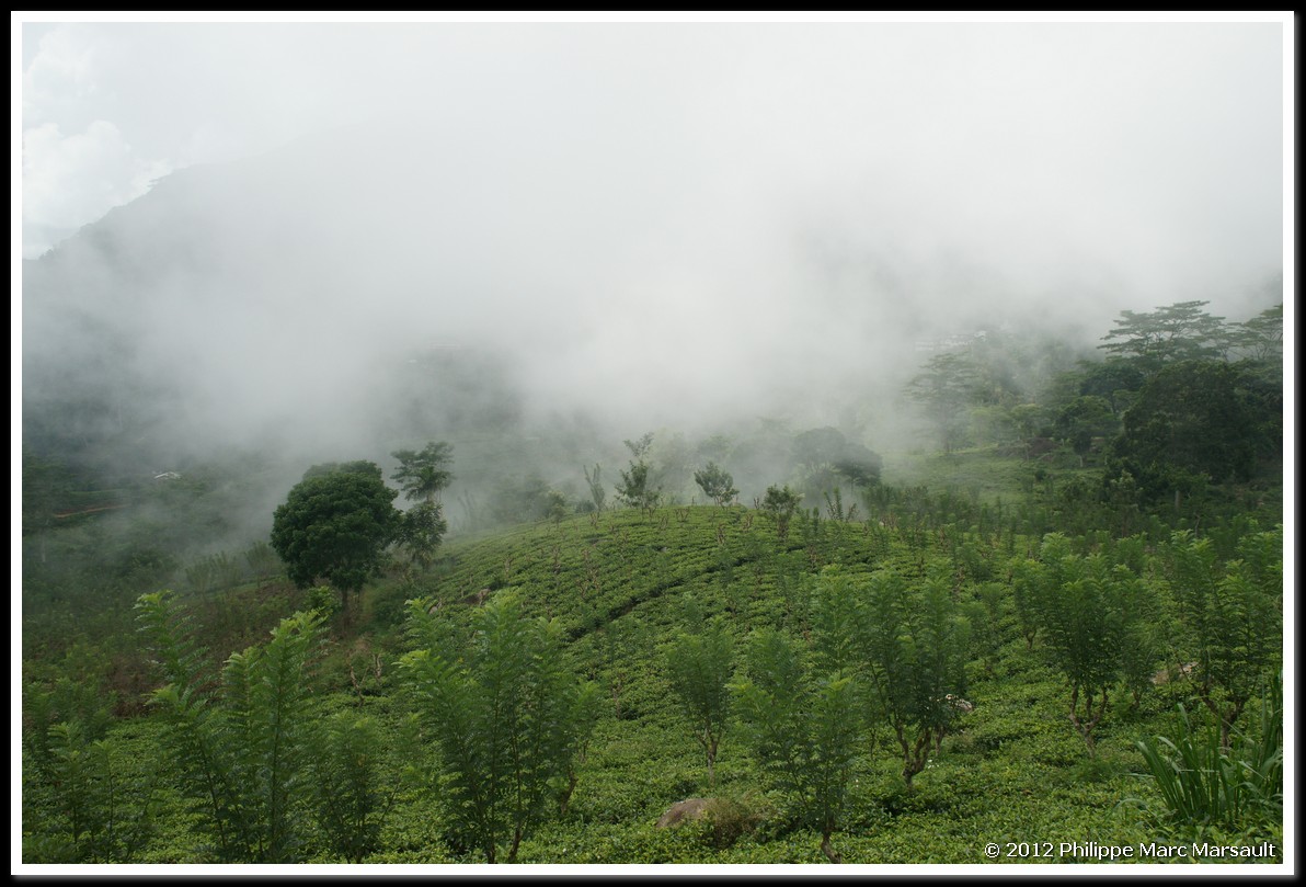 /ecran/Sri_Lanka_0284.jpg