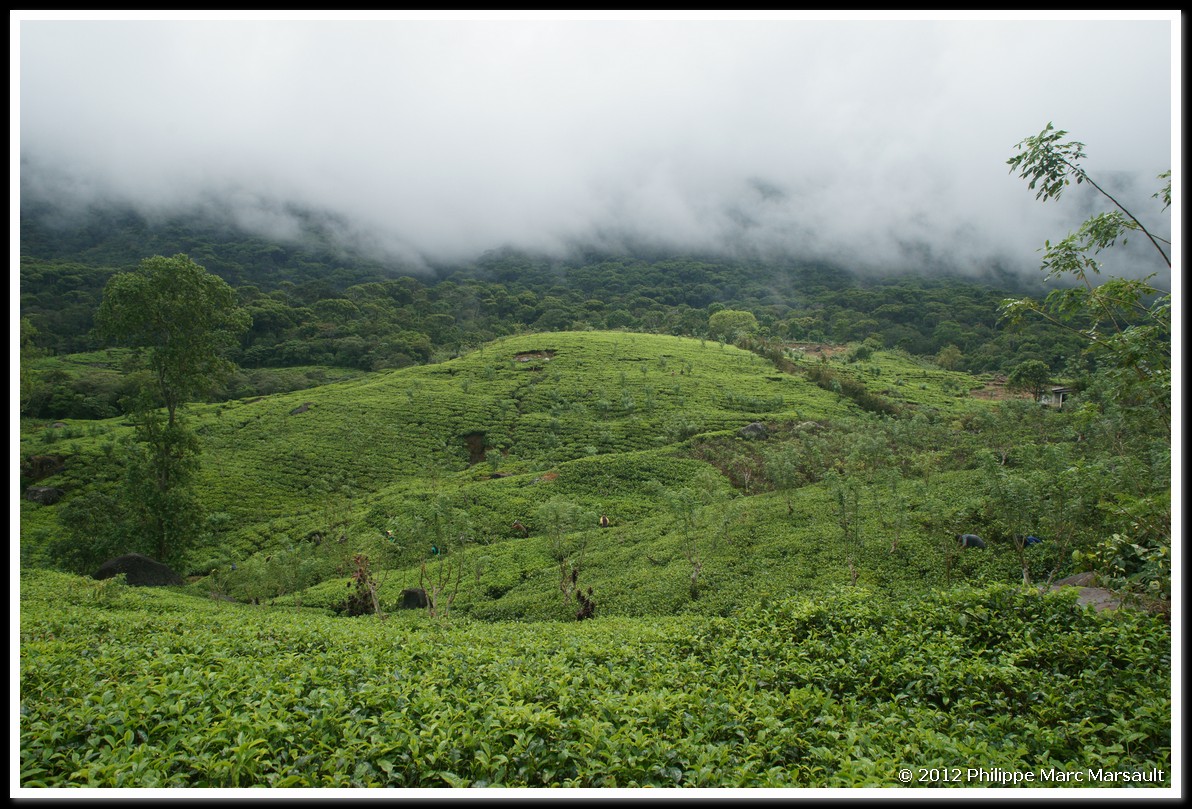 /ecran/Sri_Lanka_0288.jpg