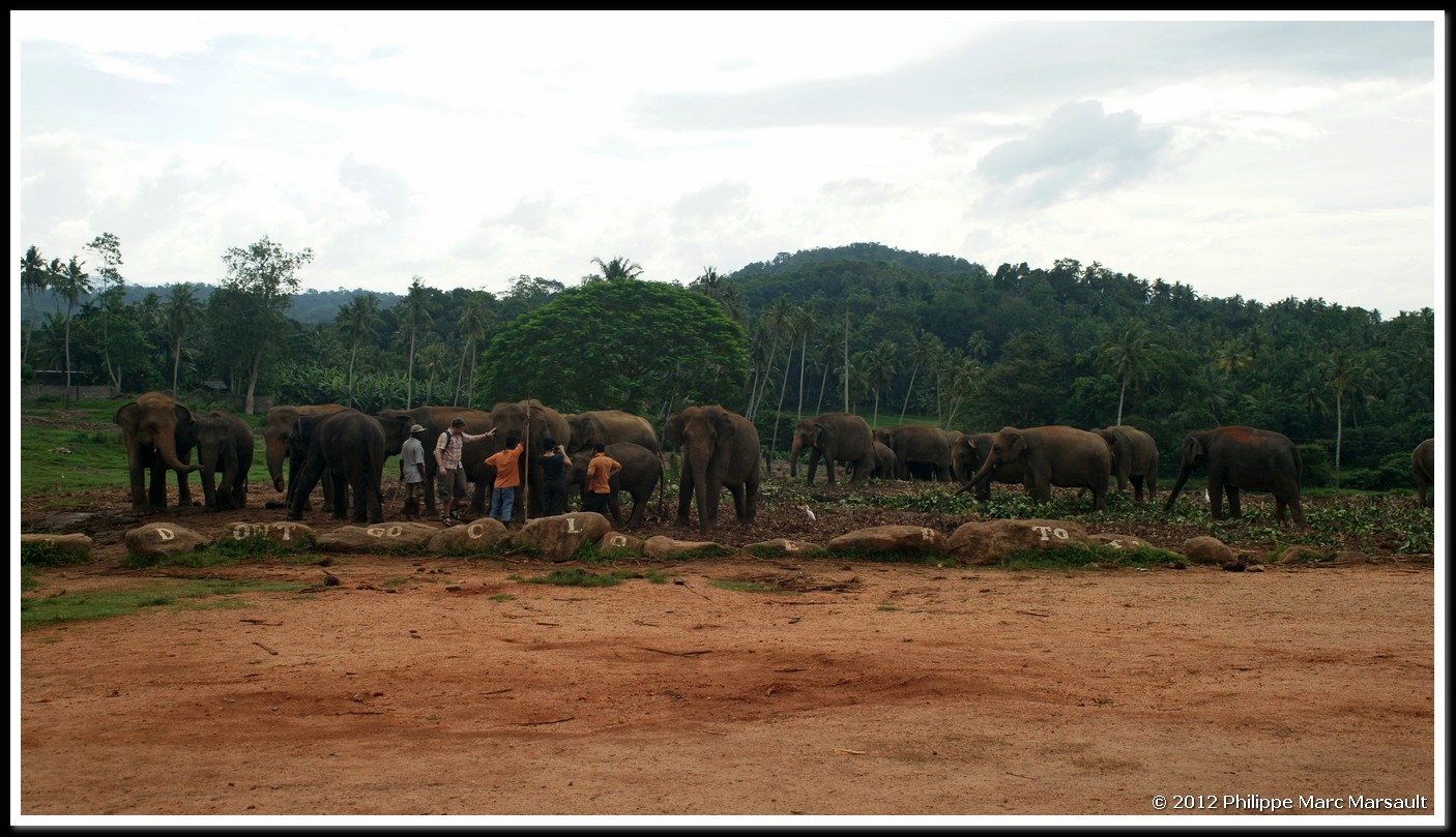 /ecran/Sri_Lanka_0665.jpg