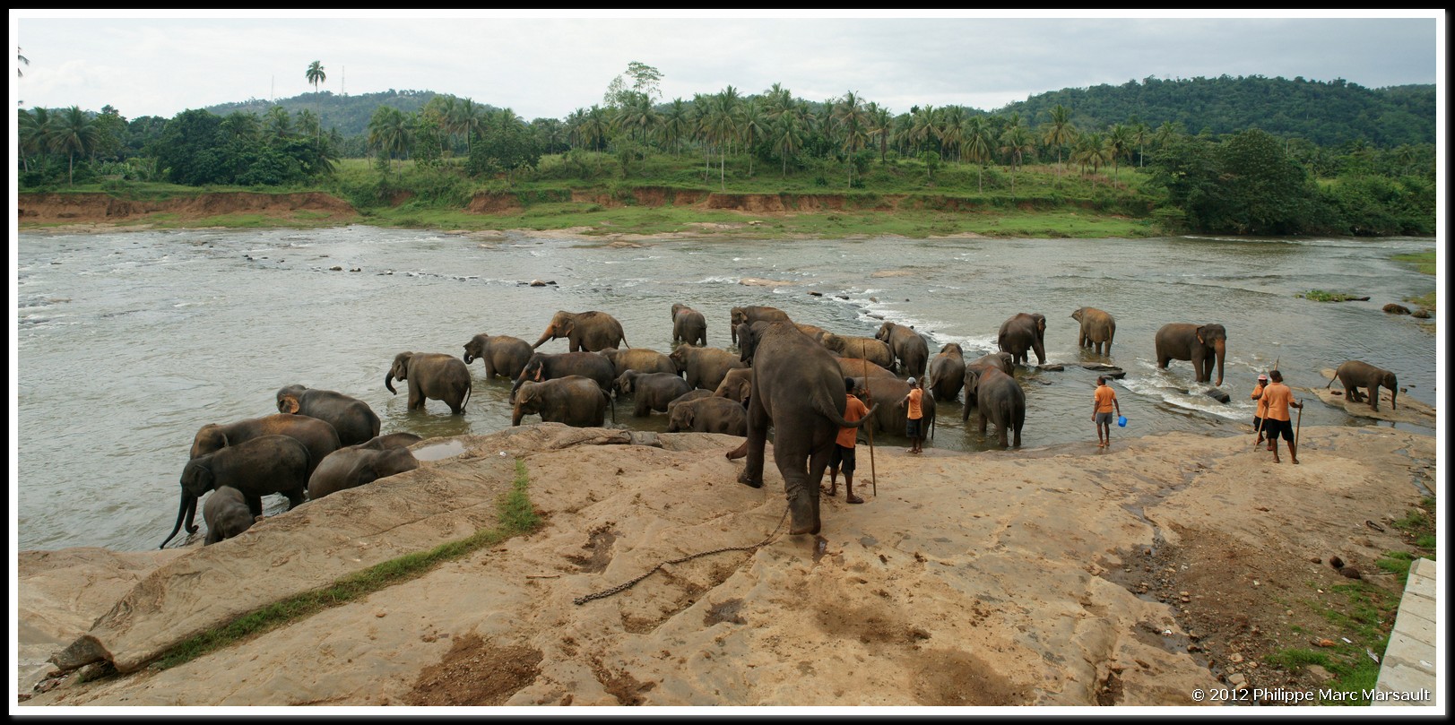 /ecran/Sri_Lanka_0686.jpg