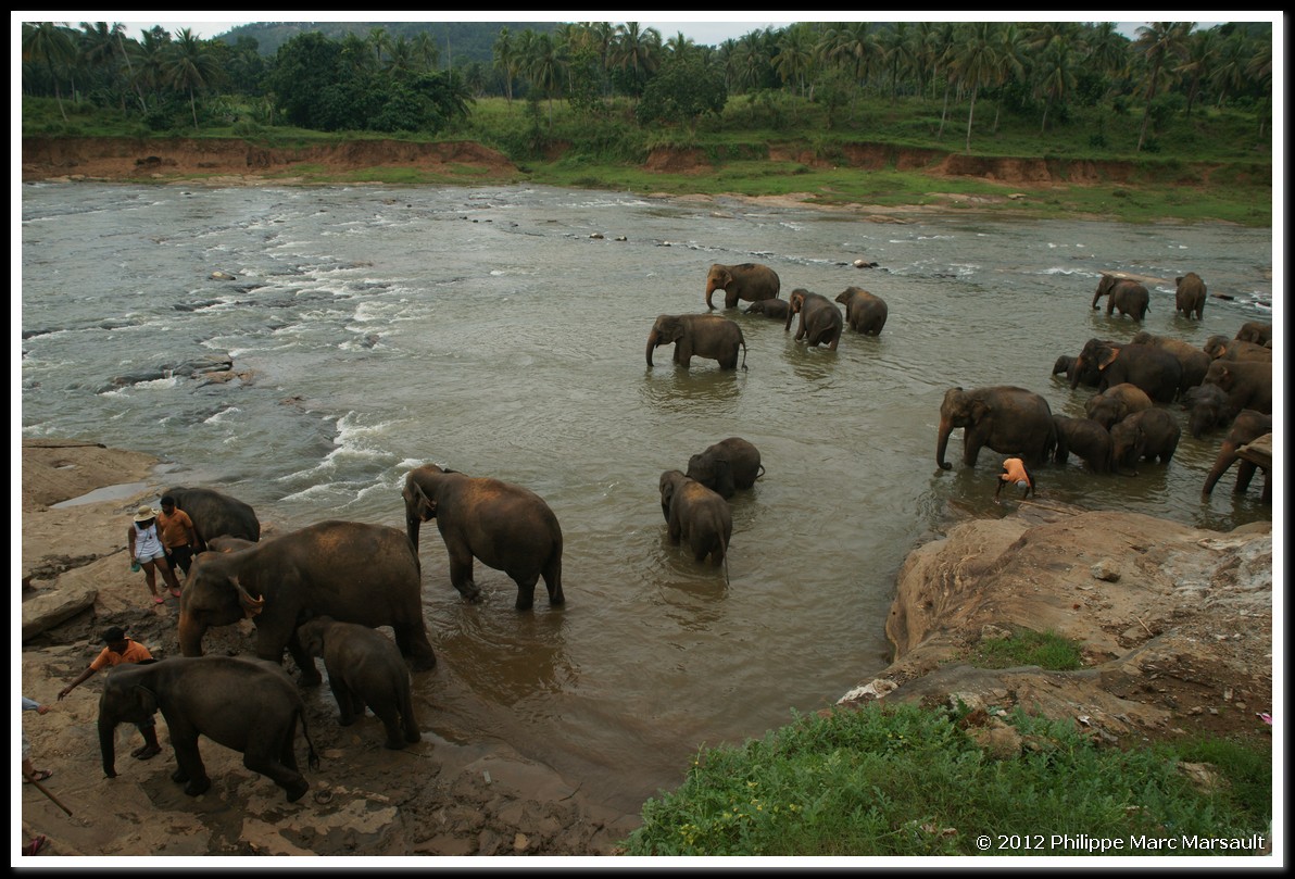 /ecran/Sri_Lanka_0687.jpg