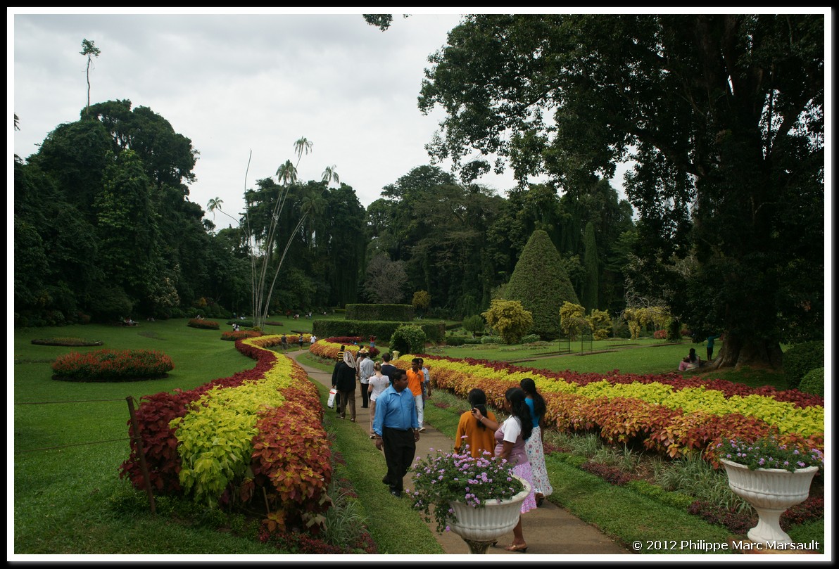 /ecran/Sri_Lanka_0881.jpg