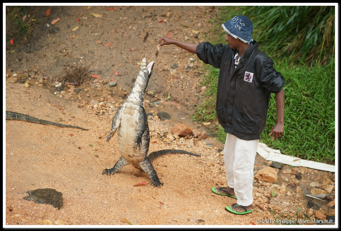 /ecran/Sri_Lanka_1099.jpg